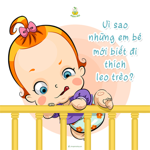 Em bé nhà bạn có thích leo trèo đủ thứ?